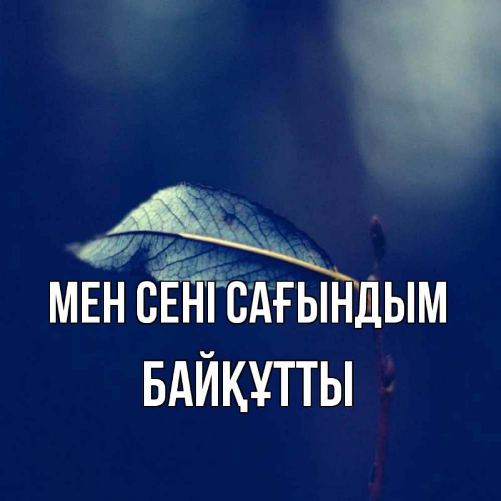 Күн сайын ашық хат с именем, Байқұтты Мен сені сағындым одна ветка 1 Онлайн тегін жүктеп алу тілектері бар керемет карта 