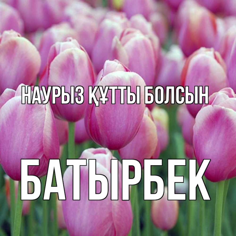 Күн сайын ашық хат с именем, Батырбек Наурыз құтты болсын на наурыз  день 3 Онлайн тегін жүктеп алу тілектері бар керемет карта 