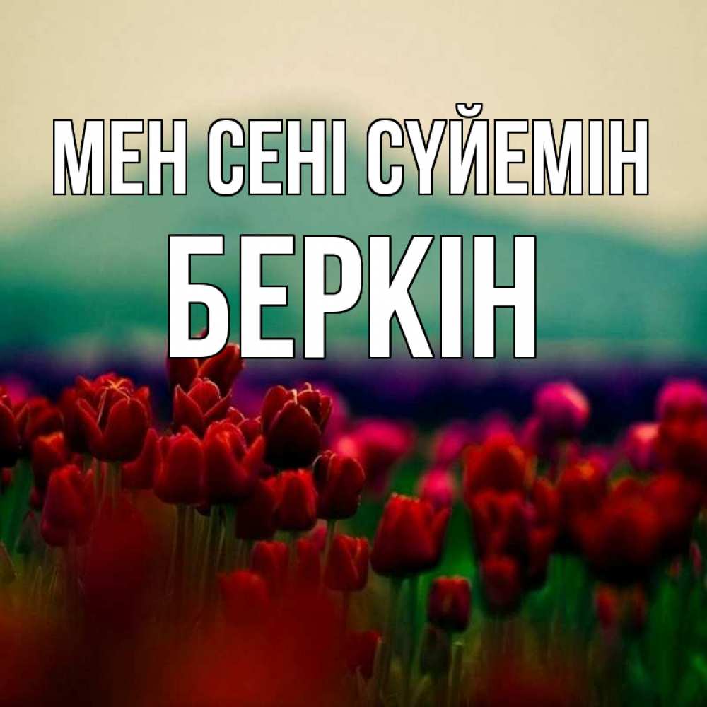 Күн сайын ашық хат с именем, Беркін Мен сені сүйемін тюльпаны 4 Онлайн тегін жүктеп алу тілектері бар керемет карта 