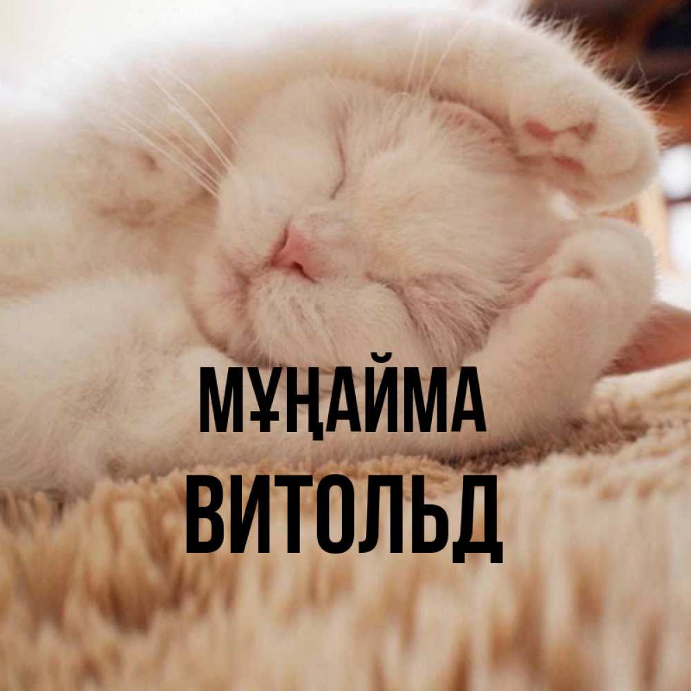 Күн сайын ашық хат с именем, Витольд Мұңайма Котенок спит Онлайн тегін жүктеп алу тілектері бар керемет карта 