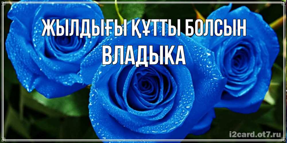Күн сайын ашық хат с именем, Владыка Жылдығы құтты болсын розы с синим цветом Онлайн тегін жүктеп алу тілектері бар керемет карта 