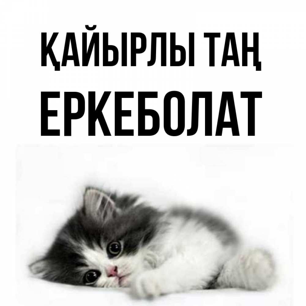 Күн сайын ашық хат с именем, Еркеболат Қайырлы таң кот лапки Онлайн тегін жүктеп алу тілектері бар керемет карта 