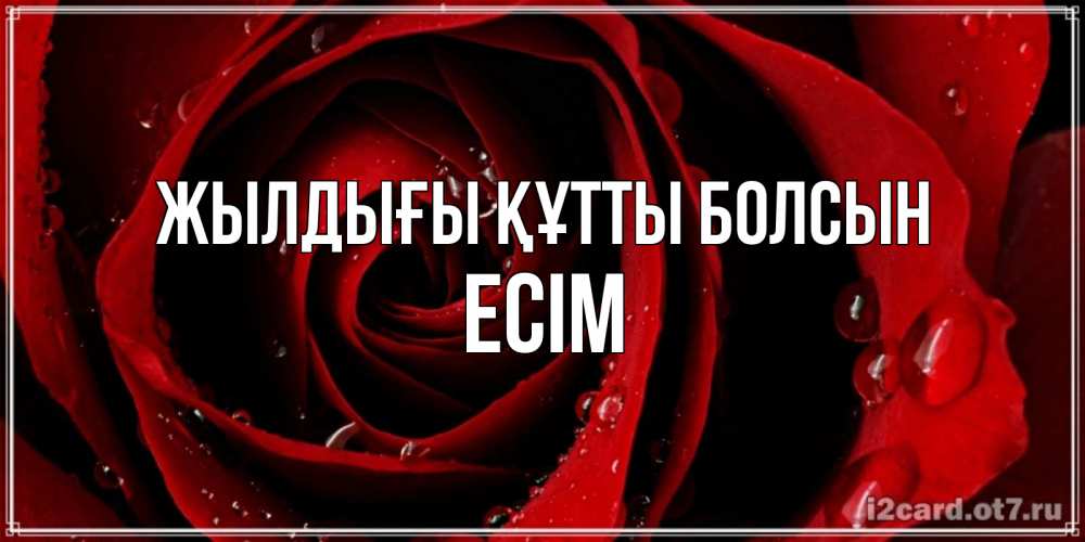 Күн сайын ашық хат с именем, Есім Жылдығы құтты болсын крупная бордовая роза Онлайн тегін жүктеп алу тілектері бар керемет карта 