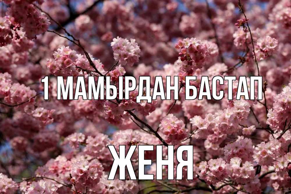 Күн сайын ашық хат с именем, Женя 1 мамырдан бастап С 1 мая Онлайн тегін жүктеп алу тілектері бар керемет карта 
