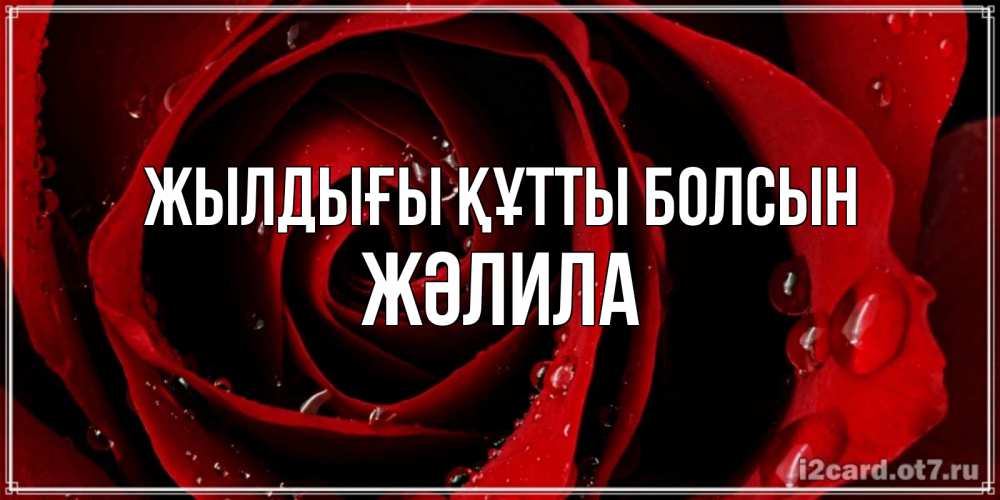 Күн сайын ашық хат с именем, ЖӘЛИЛА Жылдығы құтты болсын крупная бордовая роза Онлайн тегін жүктеп алу тілектері бар керемет карта 