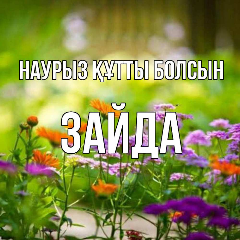 Күн сайын ашық хат с именем, ЗАЙДА Наурыз құтты болсын цветы Онлайн тегін жүктеп алу тілектері бар керемет карта 