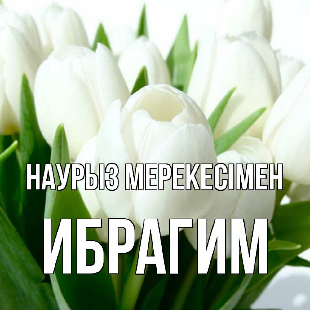 Күн сайын ашық хат с именем, Ибрагим Наурыз мерекесімен цветы Онлайн тегін жүктеп алу тілектері бар керемет карта 