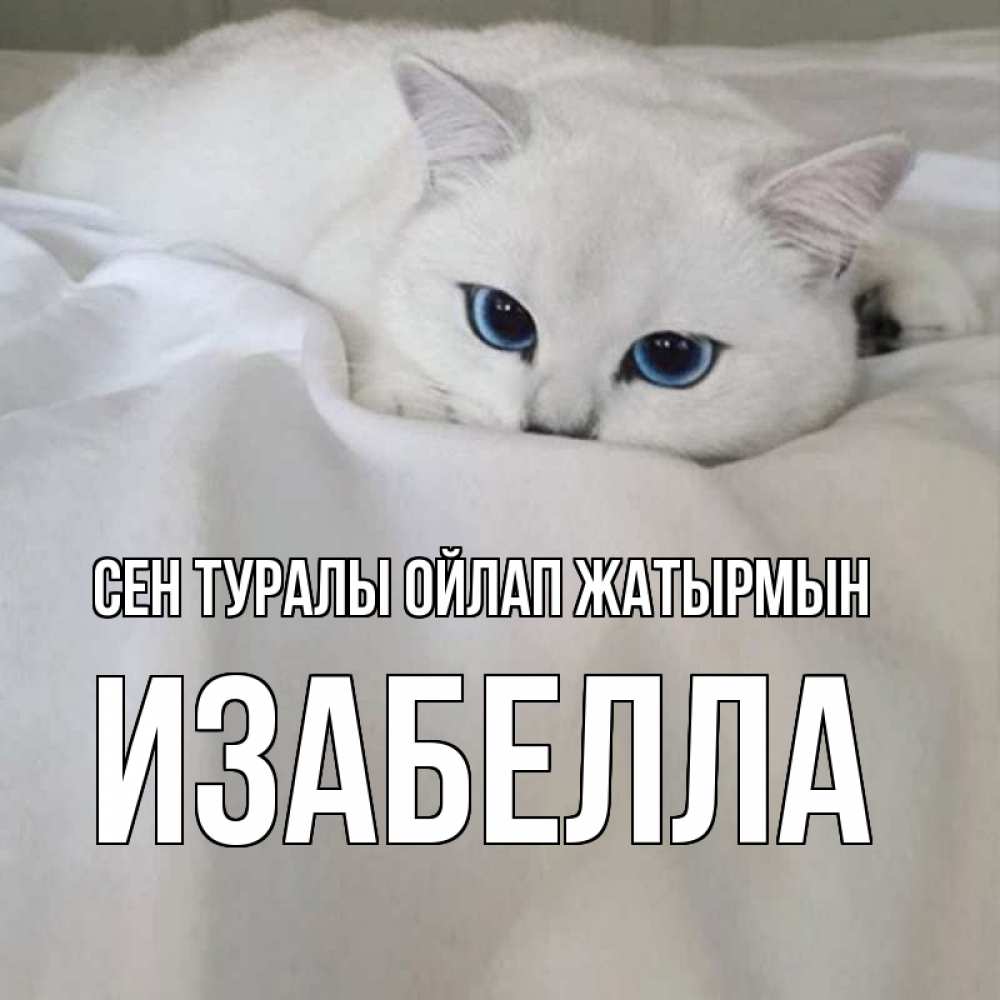 Күн сайын ашық хат с именем, Изабелла Сен туралы ойлап жатырмын я очень по тебе скучаю и тоскую Онлайн тегін жүктеп алу тілектері бар керемет карта 