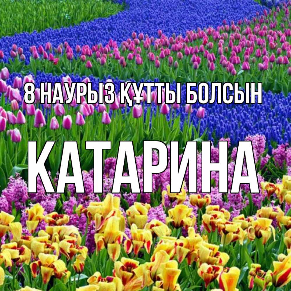 Күн сайын ашық хат с именем, Катарина 8 наурыз құтты болсын цветы Онлайн тегін жүктеп алу тілектері бар керемет карта 