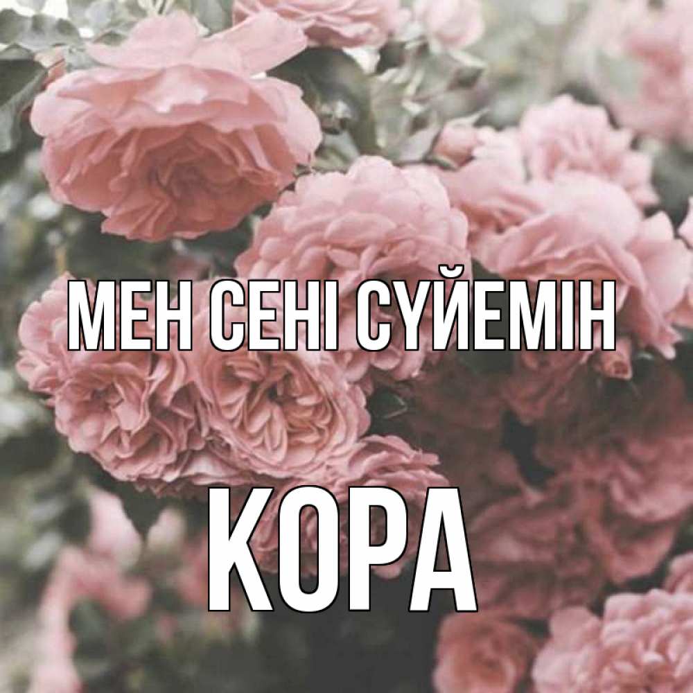 Күн сайын ашық хат с именем, Кора Мен сені сүйемін розы 3 Онлайн тегін жүктеп алу тілектері бар керемет карта 