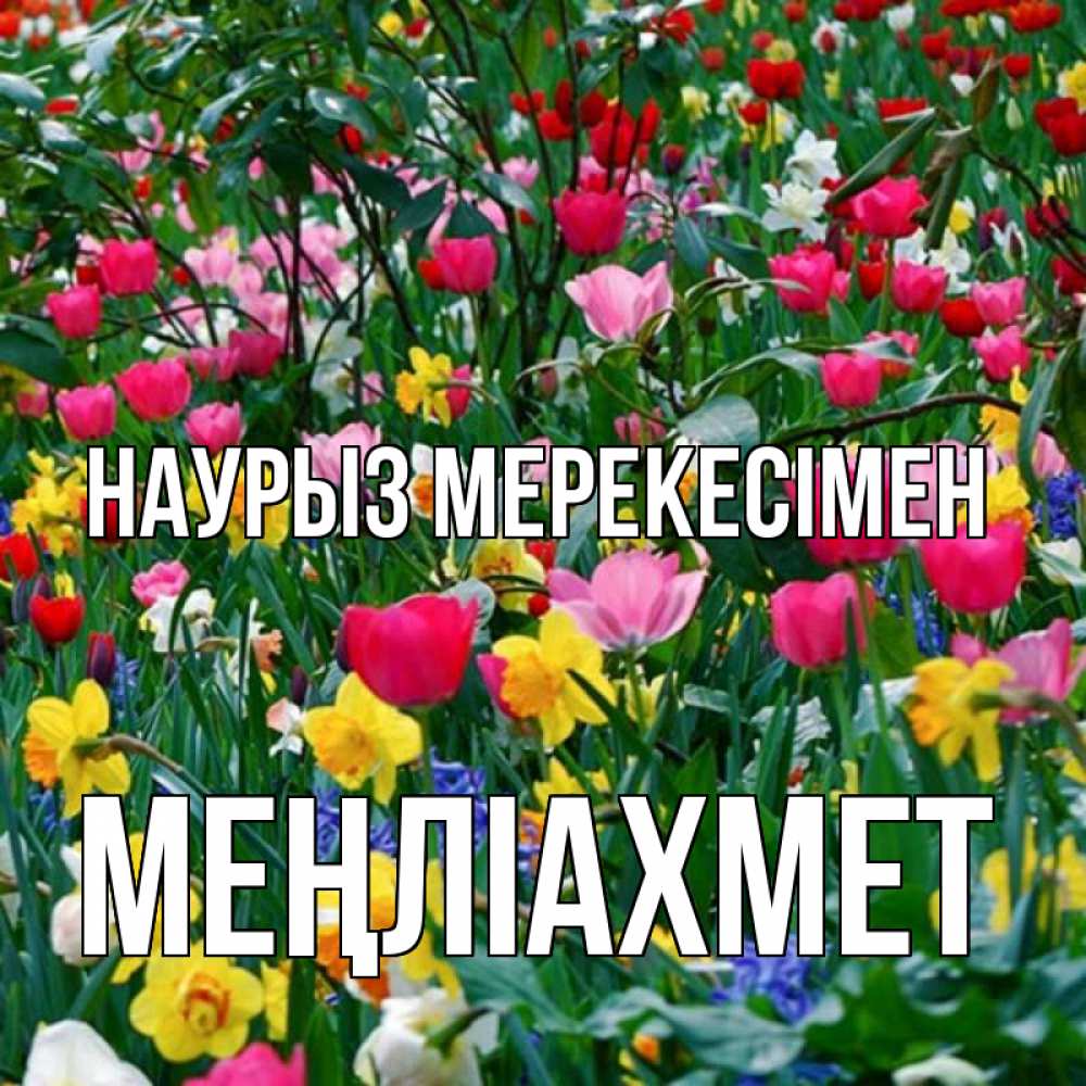 Күн сайын ашық хат с именем, МЕҢЛІАХМЕТ Наурыз мерекесімен с наурызом праздником весны поздравления для женщины Онлайн тегін жүктеп алу тілектері бар керемет карта 
