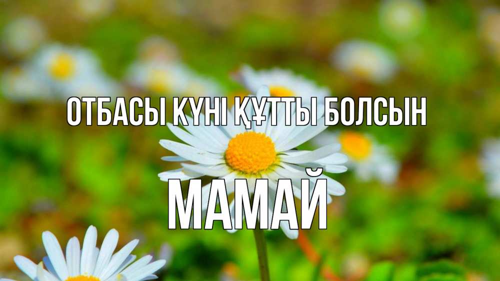 Күн сайын ашық хат с именем, Мамай отбасы күні құтты болсын с днем семьи Онлайн тегін жүктеп алу тілектері бар керемет карта 