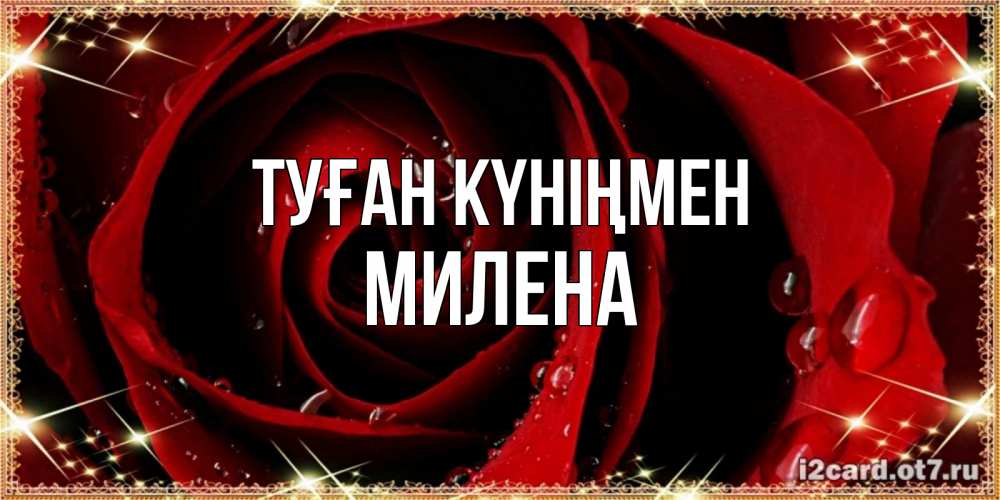 Күн сайын ашық хат с именем, Милена Туған күніңмен цветок в росе на день рождения Онлайн тегін жүктеп алу тілектері бар керемет карта 