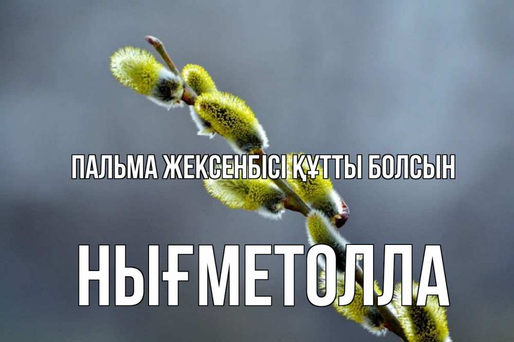 Күн сайын ашық хат с именем, НЫҒМЕТОЛЛА Пальма жексенбісі құтты болсын верба Онлайн тегін жүктеп алу тілектері бар керемет карта 