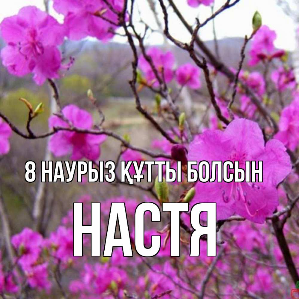 Күн сайын ашық хат с именем, Настя 8 наурыз құтты болсын международный женский день Онлайн тегін жүктеп алу тілектері бар керемет карта 