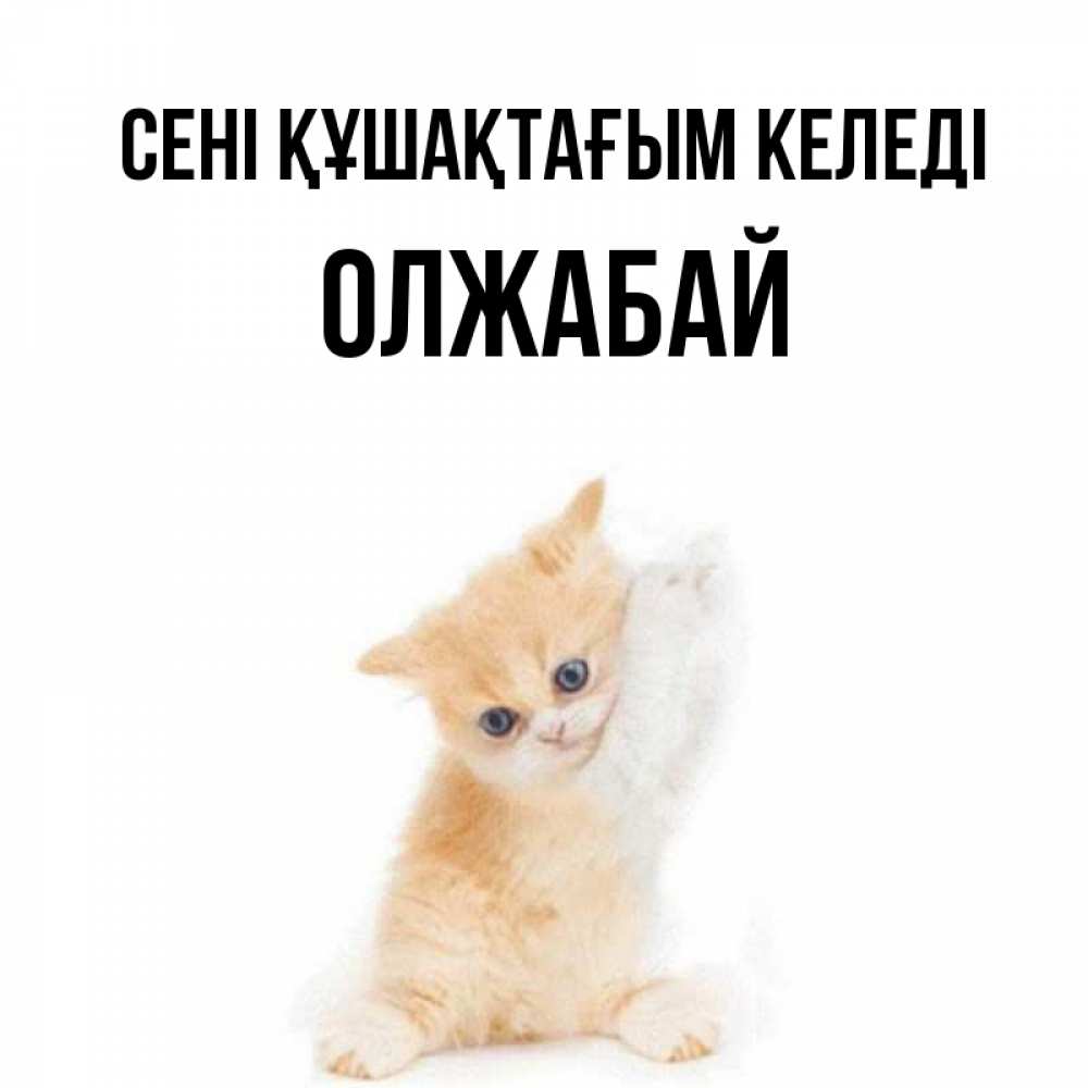 Күн сайын ашық хат с именем, ОЛЖАБАЙ сені құшақтағым келеді я хочу очень скорее обнимаешек Онлайн тегін жүктеп алу тілектері бар керемет карта 