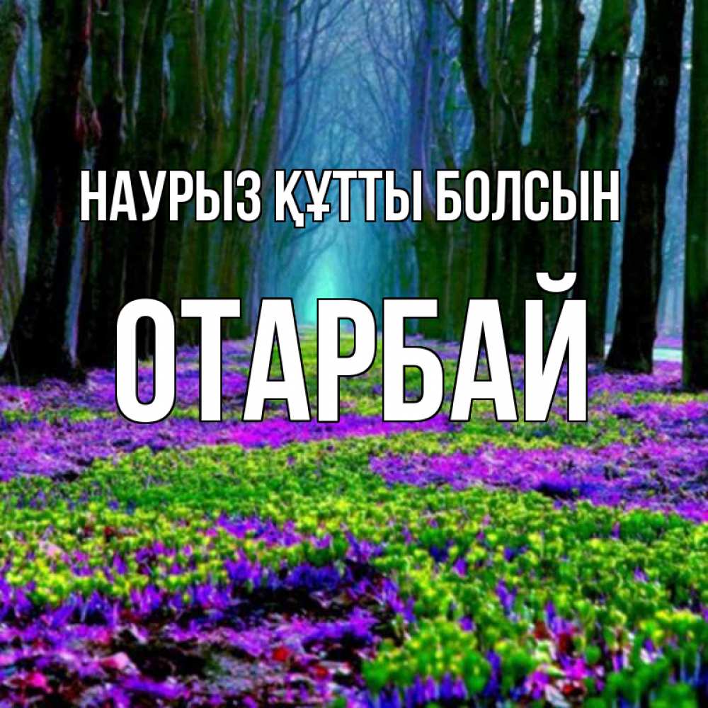 Күн сайын ашық хат с именем, ОТАРБАЙ Наурыз құтты болсын фиолетовые цветы в лесу 1 Онлайн тегін жүктеп алу тілектері бар керемет карта 