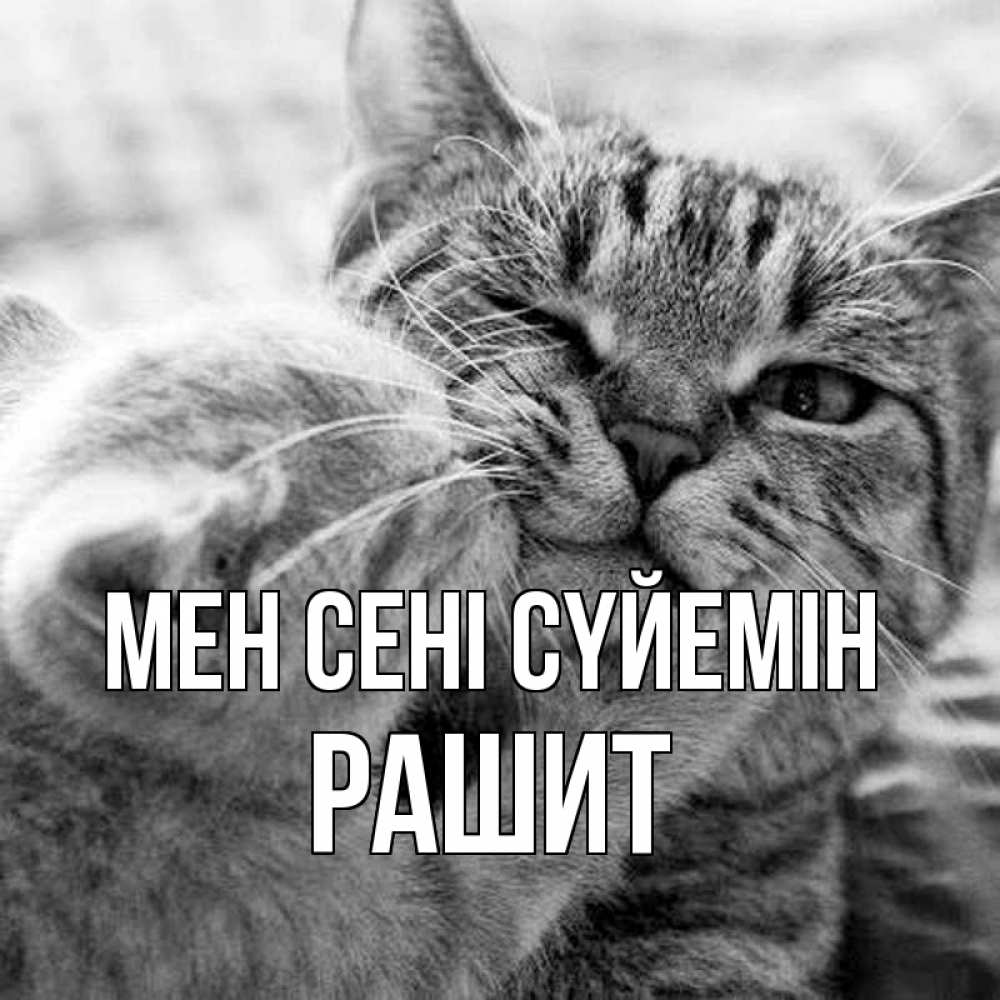 Күн сайын ашық хат с именем, РАШИТ Мен сені сүйемін коты Онлайн тегін жүктеп алу тілектері бар керемет карта 