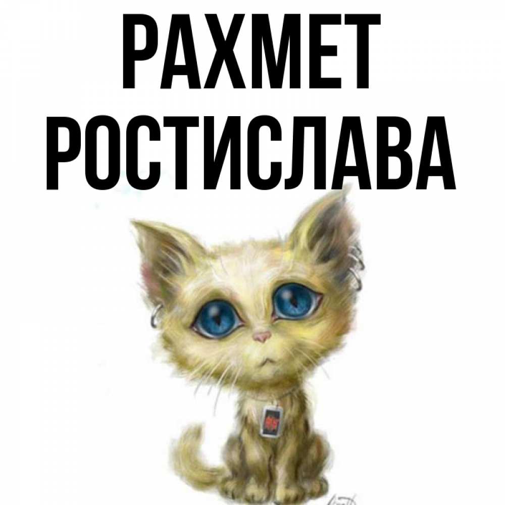 Күн сайын ашық хат с именем, Ростислава рахмет рисованный кот благодарит вас Онлайн тегін жүктеп алу тілектері бар керемет карта 