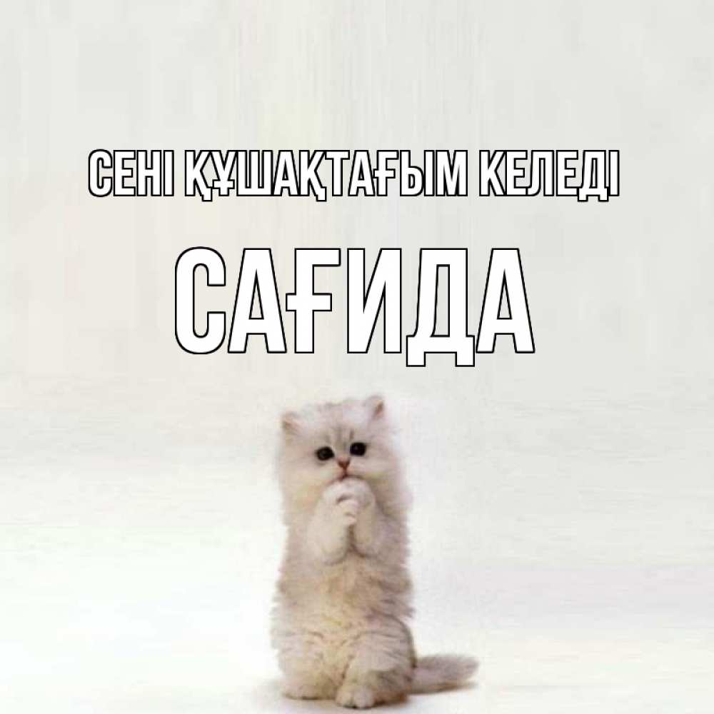 Күн сайын ашық хат с именем, САҒИДА сені құшақтағым келеді открытки с креативными подписями Онлайн тегін жүктеп алу тілектері бар керемет карта 