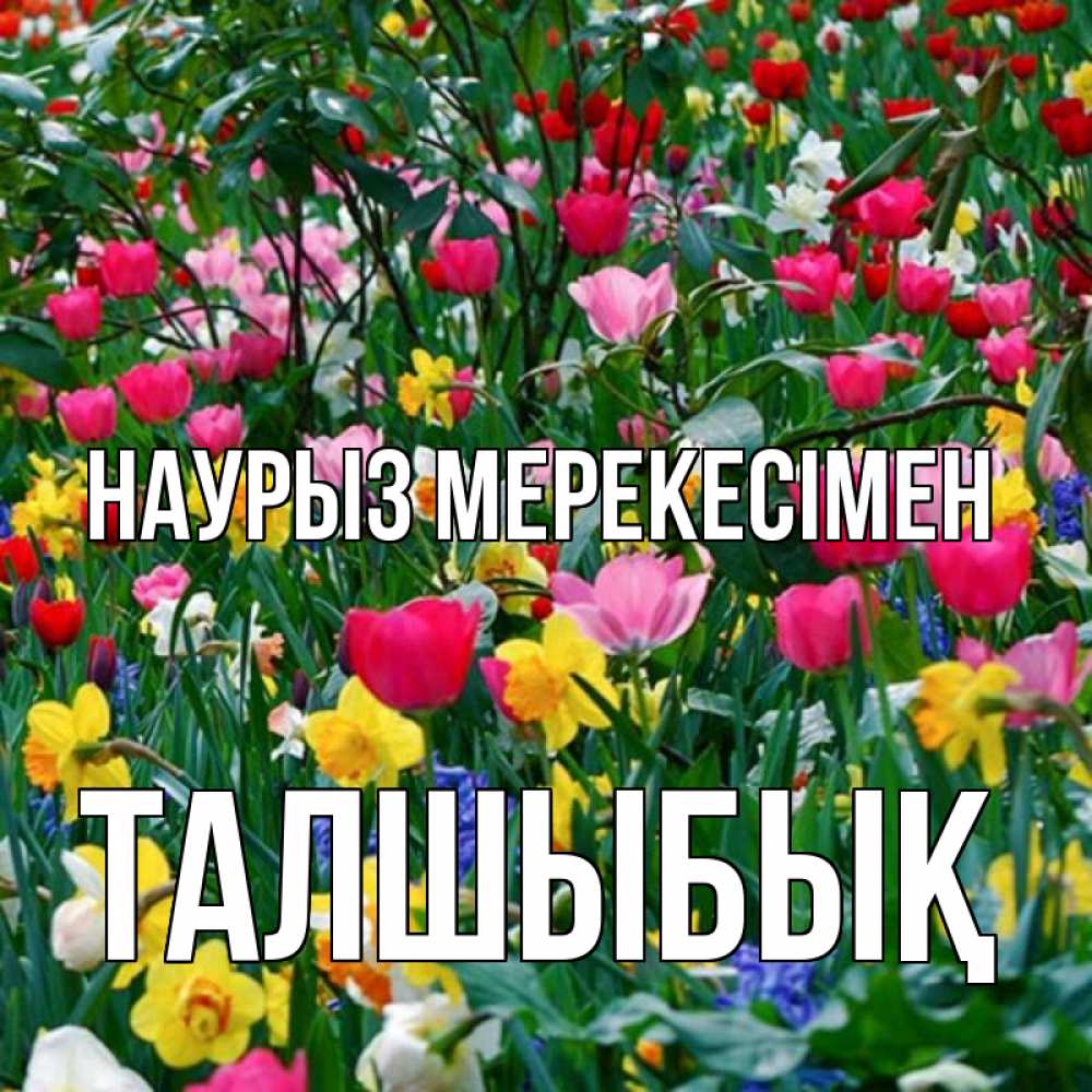Күн сайын ашық хат с именем, ТАЛШЫБЫҚ Наурыз мерекесімен с наурызом праздником весны поздравления для женщины Онлайн тегін жүктеп алу тілектері бар керемет карта 