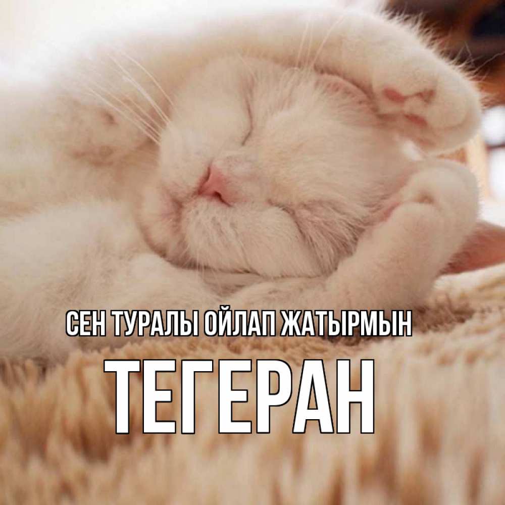 Күн сайын ашық хат с именем, ТЕГЕРАН Сен туралы ойлап жатырмын для любимой девушки милота Онлайн тегін жүктеп алу тілектері бар керемет карта 