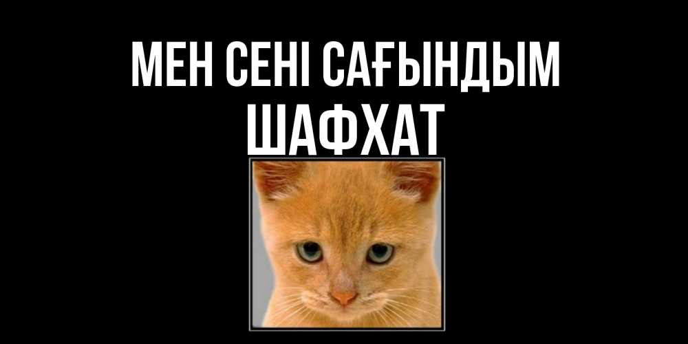 Күн сайын ашық хат с именем, ШАФХАТ Мен сені сағындым открытки рыжий котенок скучает по тебе Онлайн тегін жүктеп алу тілектері бар керемет карта 