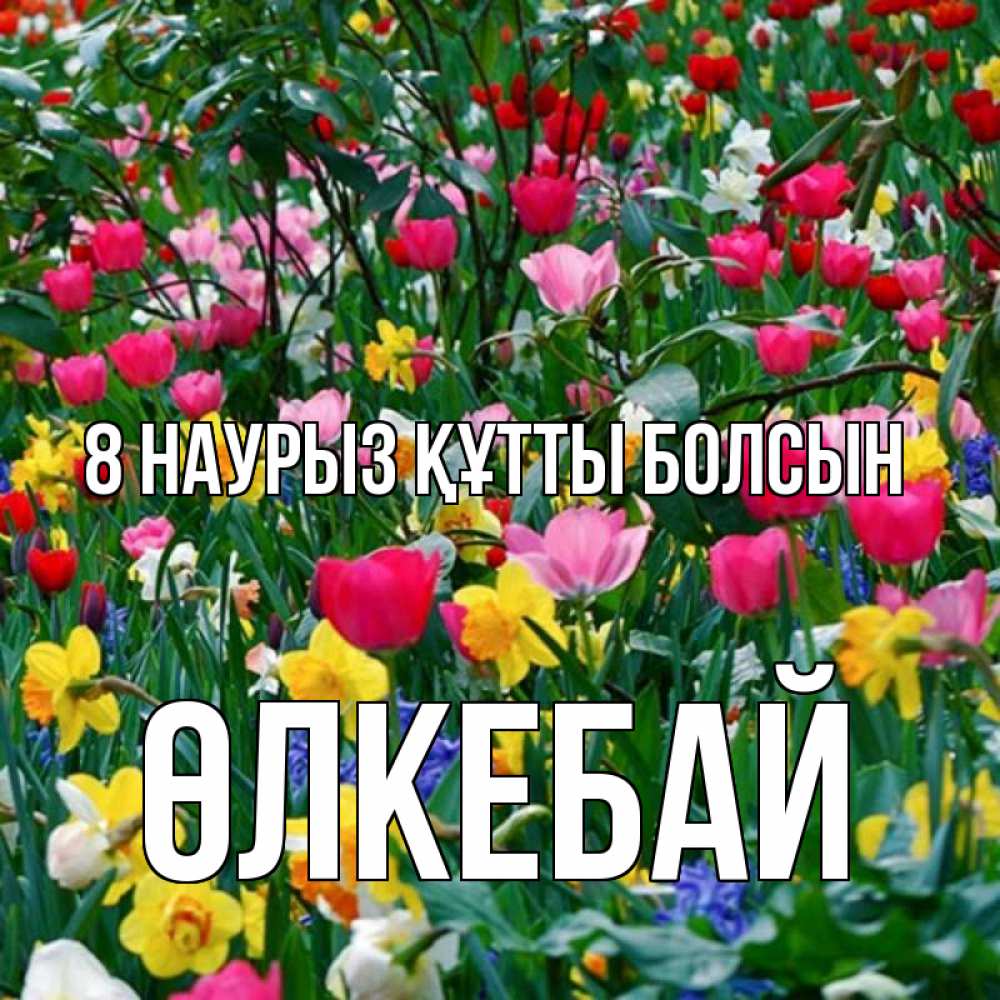 Күн сайын ашық хат с именем, ӨЛКЕБАЙ 8 наурыз құтты болсын с международным женским днем поздравления для женщины Онлайн тегін жүктеп алу тілектері бар керемет карта 