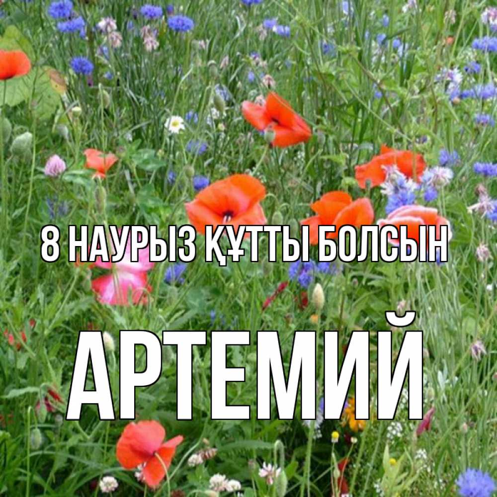 Күн сайын ашық хат с именем, Артемий 8 наурыз құтты болсын международный женский день 4 Онлайн тегін жүктеп алу тілектері бар керемет карта 
