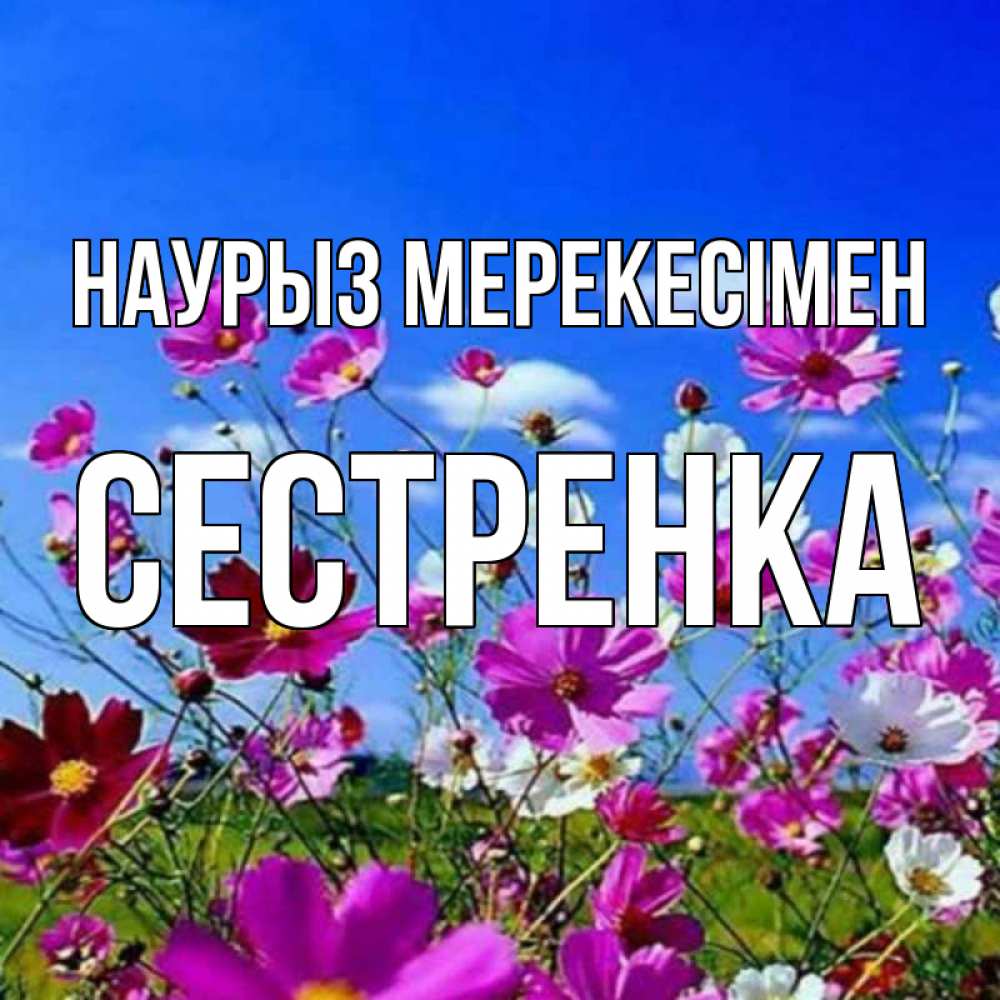 Күн сайын ашық хат с именем, Сестренка Наурыз мерекесімен цветы Онлайн тегін жүктеп алу тілектері бар керемет карта 