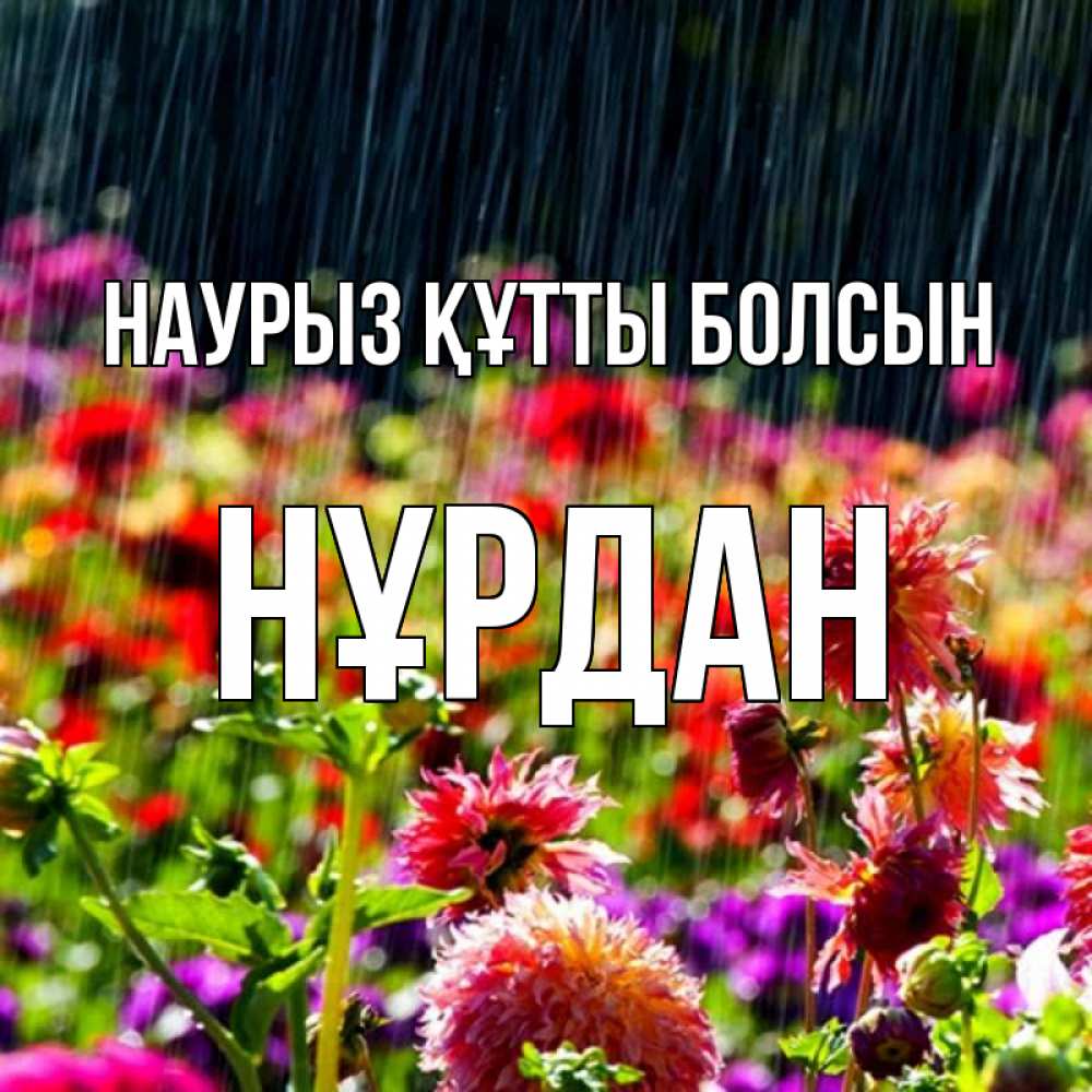 Күн сайын ашық хат с именем, НҰРДАН Наурыз құтты болсын цветы под дождиком к наурызу Онлайн тегін жүктеп алу тілектері бар керемет карта 