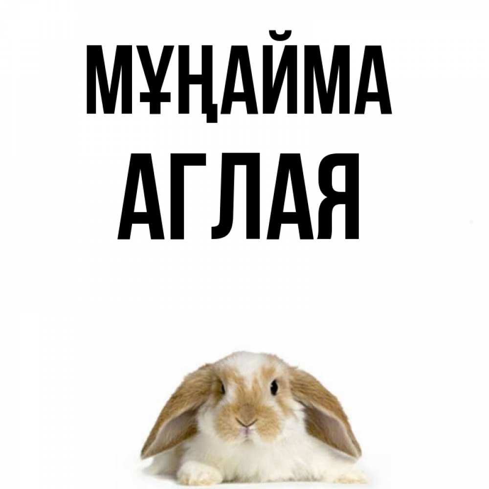 Күн сайын ашық хат с именем, Аглая Мұңайма коричнево белый заяц с большими ушками Онлайн тегін жүктеп алу тілектері бар керемет карта 