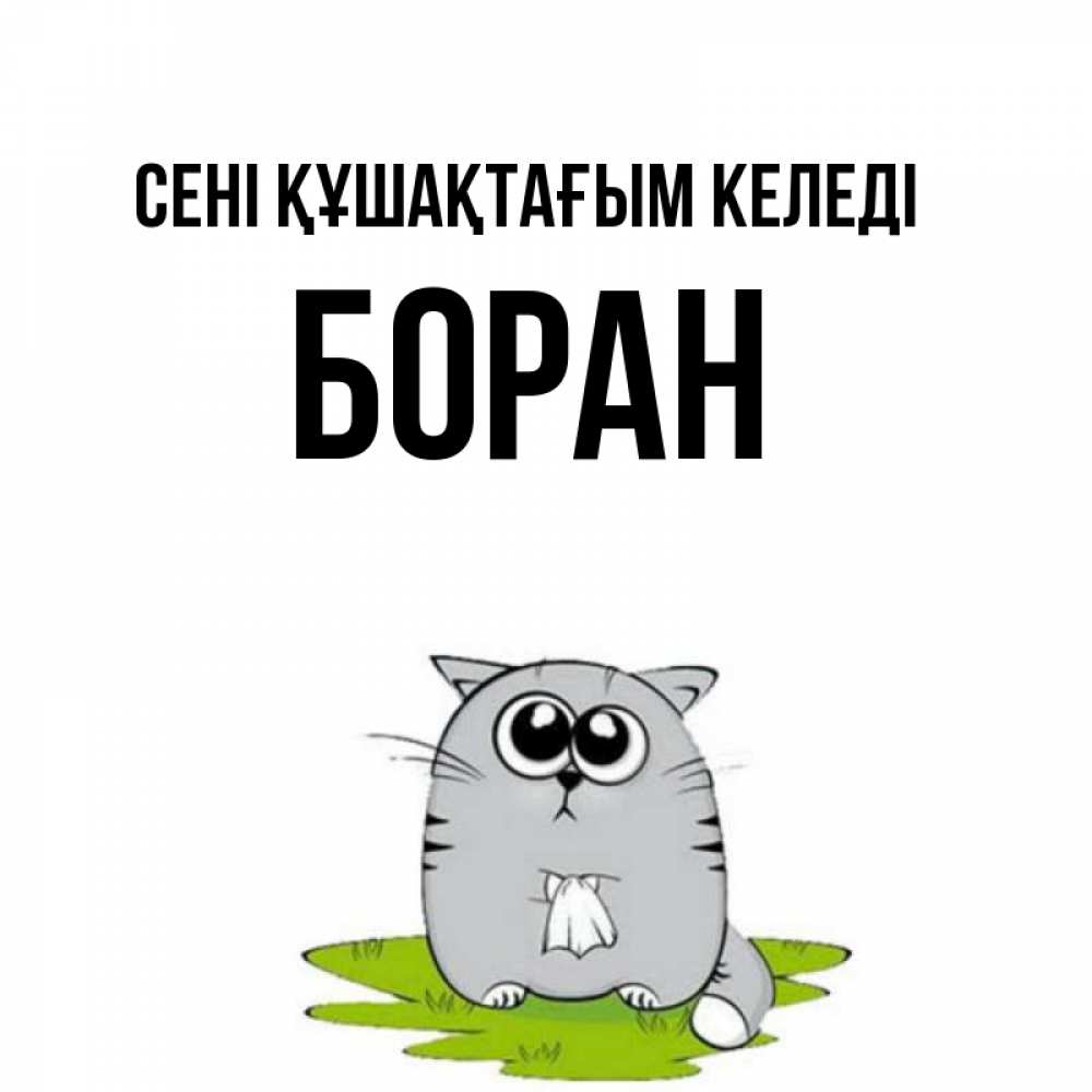Күн сайын ашық хат с именем, Боран сені құшақтағым келеді котик теребит платочек сидя на травке Онлайн тегін жүктеп алу тілектері бар керемет карта 