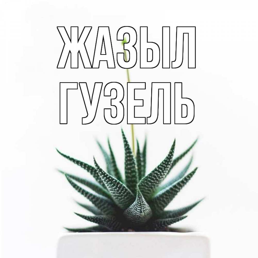 Күн сайын ашық хат с именем, Гузель Жазыл короче это непонятная колючка Онлайн тегін жүктеп алу тілектері бар керемет карта 