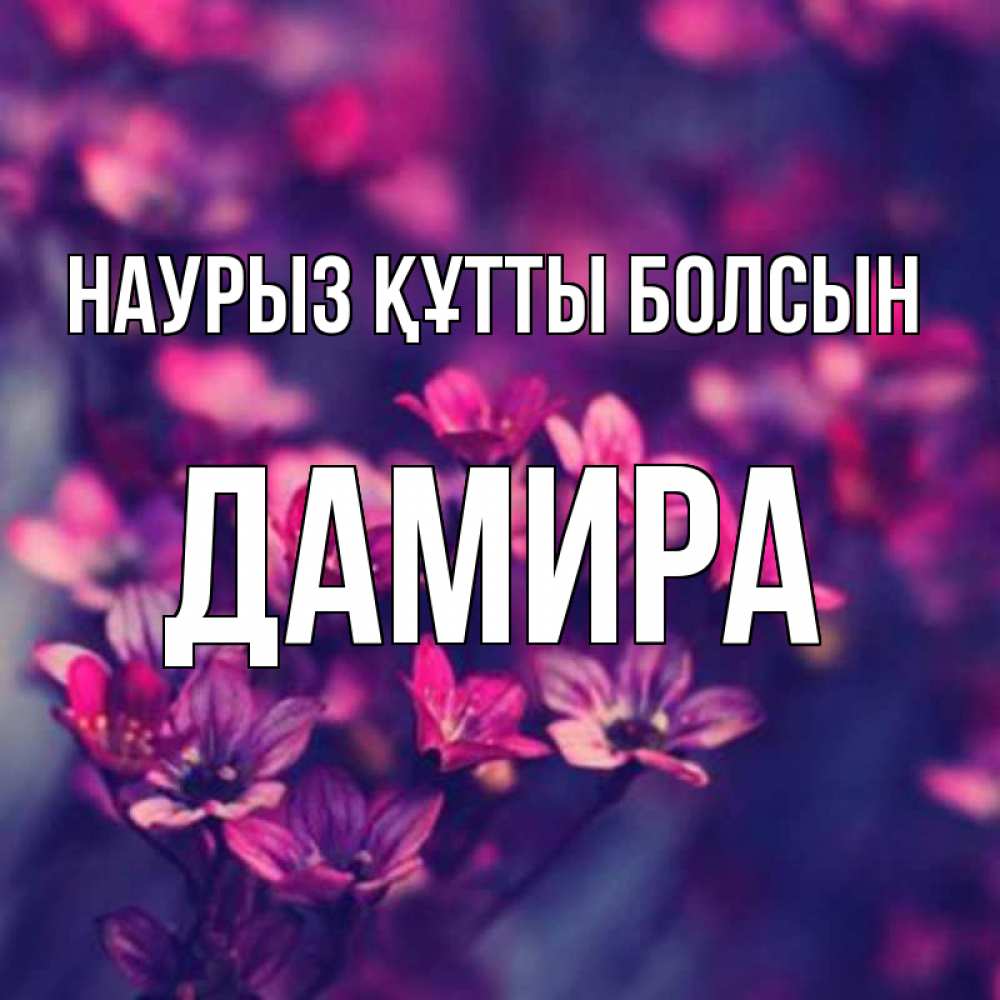 Күн сайын ашық хат с именем, ДАМИРА Наурыз құтты болсын небольшие цветы 1 Онлайн тегін жүктеп алу тілектері бар керемет карта 
