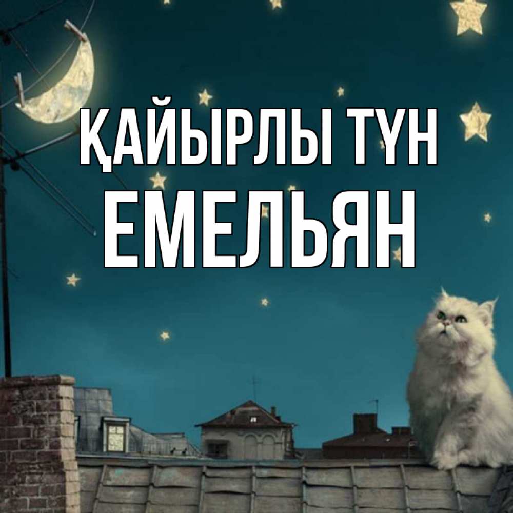Күн сайын ашық хат с именем, Емельян Қайырлы түн белый кот сидит на крыше Онлайн тегін жүктеп алу тілектері бар керемет карта 