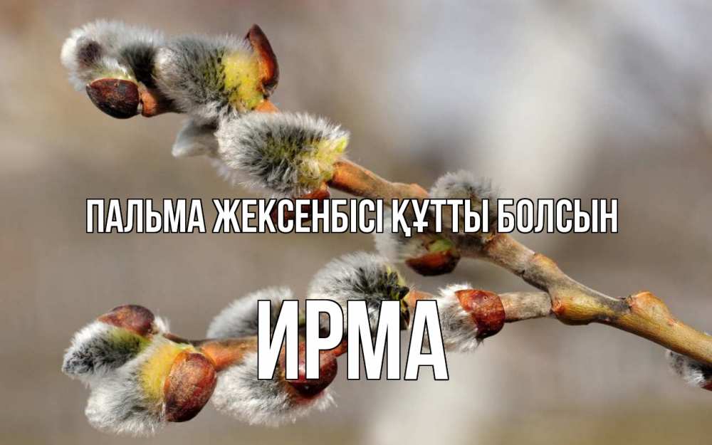 Күн сайын ашық хат с именем, Ирма Пальма жексенбісі құтты болсын Верба Онлайн тегін жүктеп алу тілектері бар керемет карта 