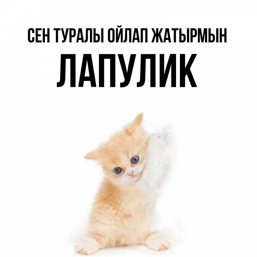 Күн сайын ашық хат с именем, Лапулик Сен туралы ойлап жатырмын зверушки и милота Онлайн тегін жүктеп алу тілектері бар керемет карта 