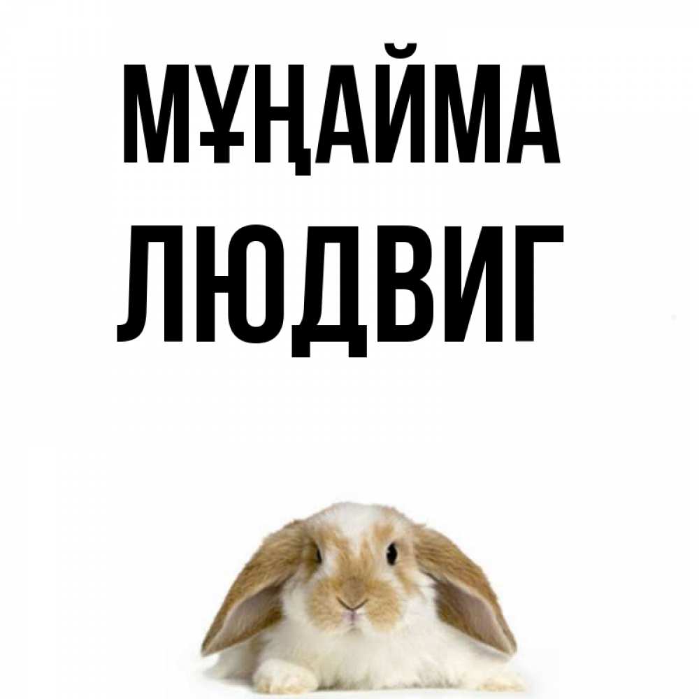 Күн сайын ашық хат с именем, Людвиг Мұңайма коричнево белый заяц с большими ушками Онлайн тегін жүктеп алу тілектері бар керемет карта 