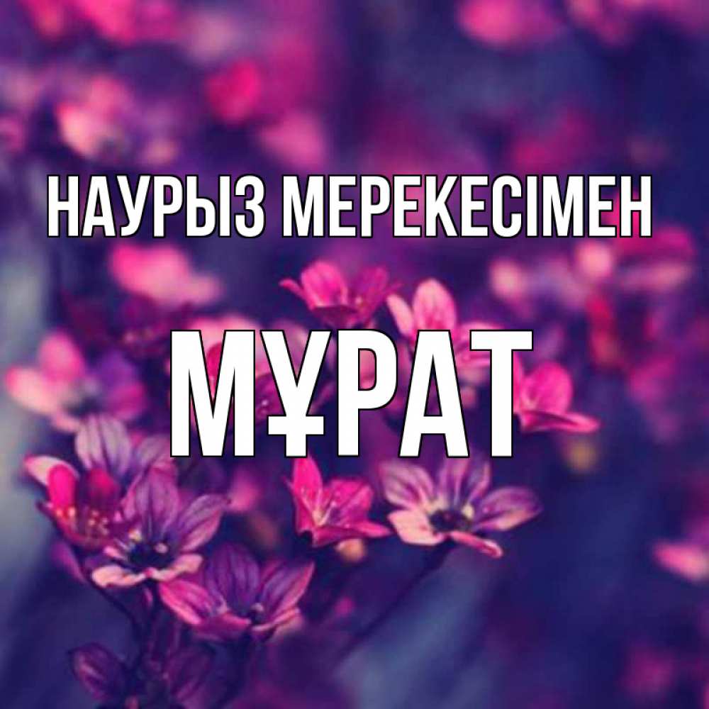 Күн сайын ашық хат с именем, МҰРАТ Наурыз мерекесімен небольшие цветы 1 Онлайн тегін жүктеп алу тілектері бар керемет карта 