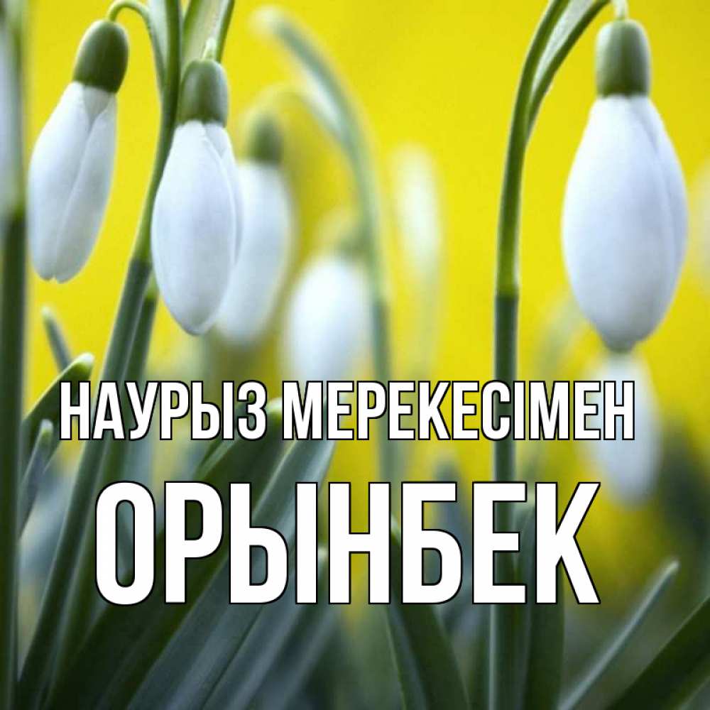 Күн сайын ашық хат с именем, ОРЫНБЕК Наурыз мерекесімен весенние цветы Онлайн тегін жүктеп алу тілектері бар керемет карта 