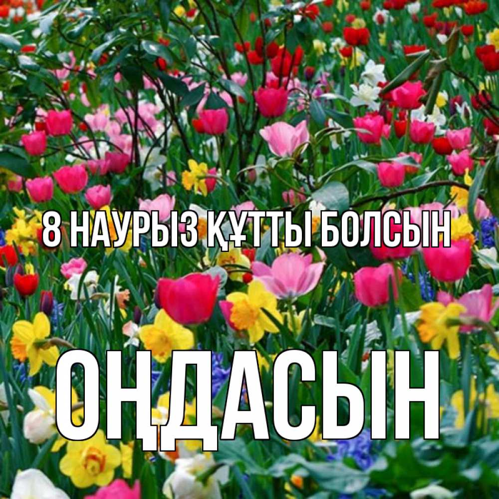 Күн сайын ашық хат с именем, ОҢДАСЫН 8 наурыз құтты болсын с международным женским днем поздравления для женщины Онлайн тегін жүктеп алу тілектері бар керемет карта 