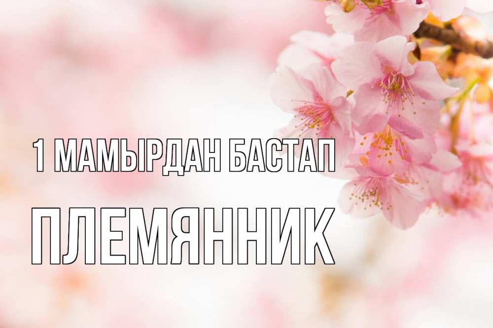 Күн сайын ашық хат с именем, Племянник 1 мамырдан бастап С 1 мая Онлайн тегін жүктеп алу тілектері бар керемет карта 