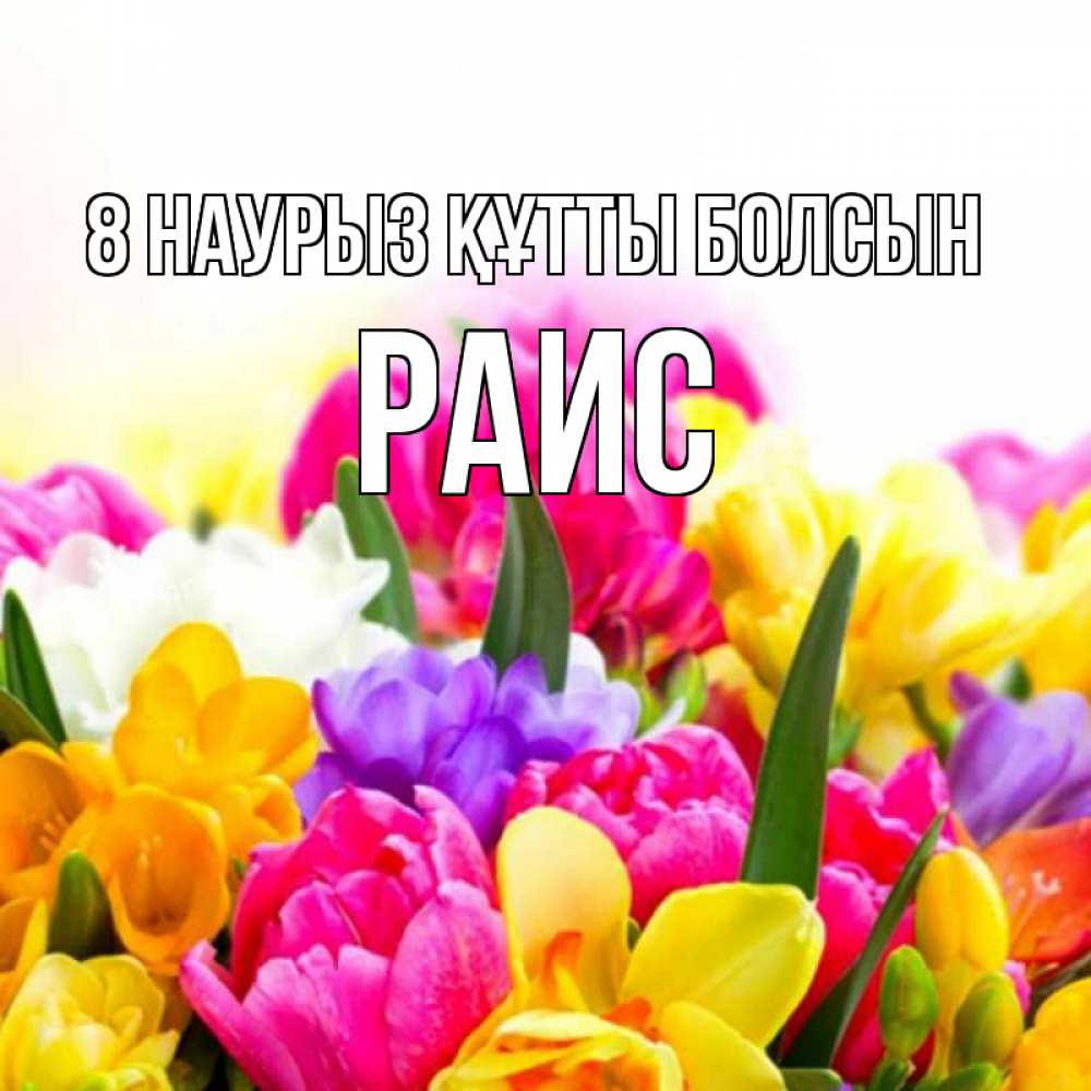 Күн сайын ашық хат с именем, Раис 8 наурыз құтты болсын тюльпаны Онлайн тегін жүктеп алу тілектері бар керемет карта 