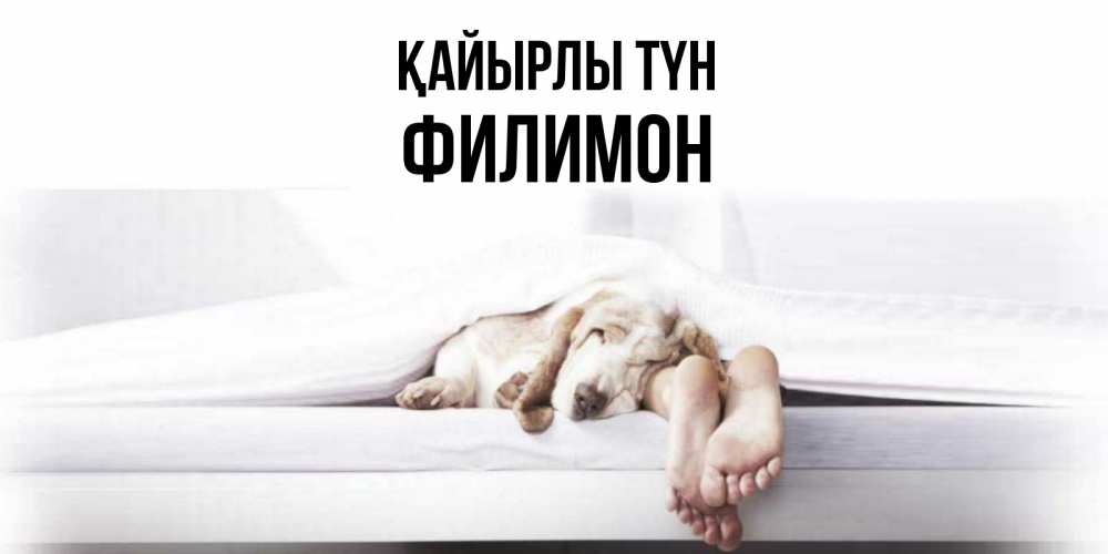 Күн сайын ашық хат с именем, Филимон Қайырлы түн кровать с собакой пожелание сладких снов и спокойной ночи Онлайн тегін жүктеп алу тілектері бар керемет карта 