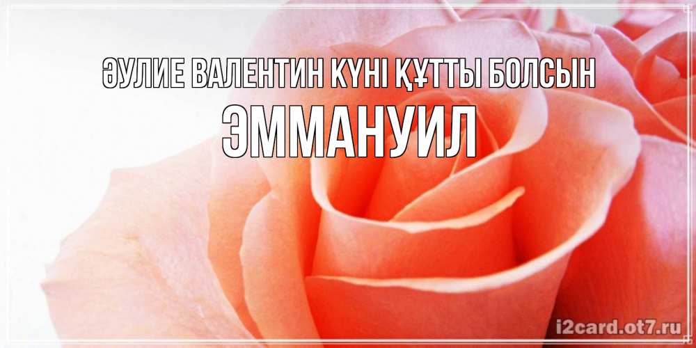 Күн сайын ашық хат с именем, Эммануил Әулие Валентин күні құтты болсын открытка на день Святого Валентина с розовой розой Онлайн тегін жүктеп алу тілектері бар керемет карта 