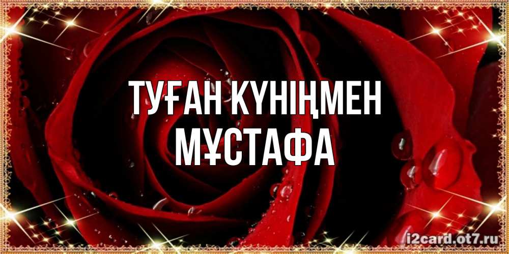 Күн сайын ашық хат с именем, МҰСТАФА Туған күніңмен цветок в росе на день рождения Онлайн тегін жүктеп алу тілектері бар керемет карта 