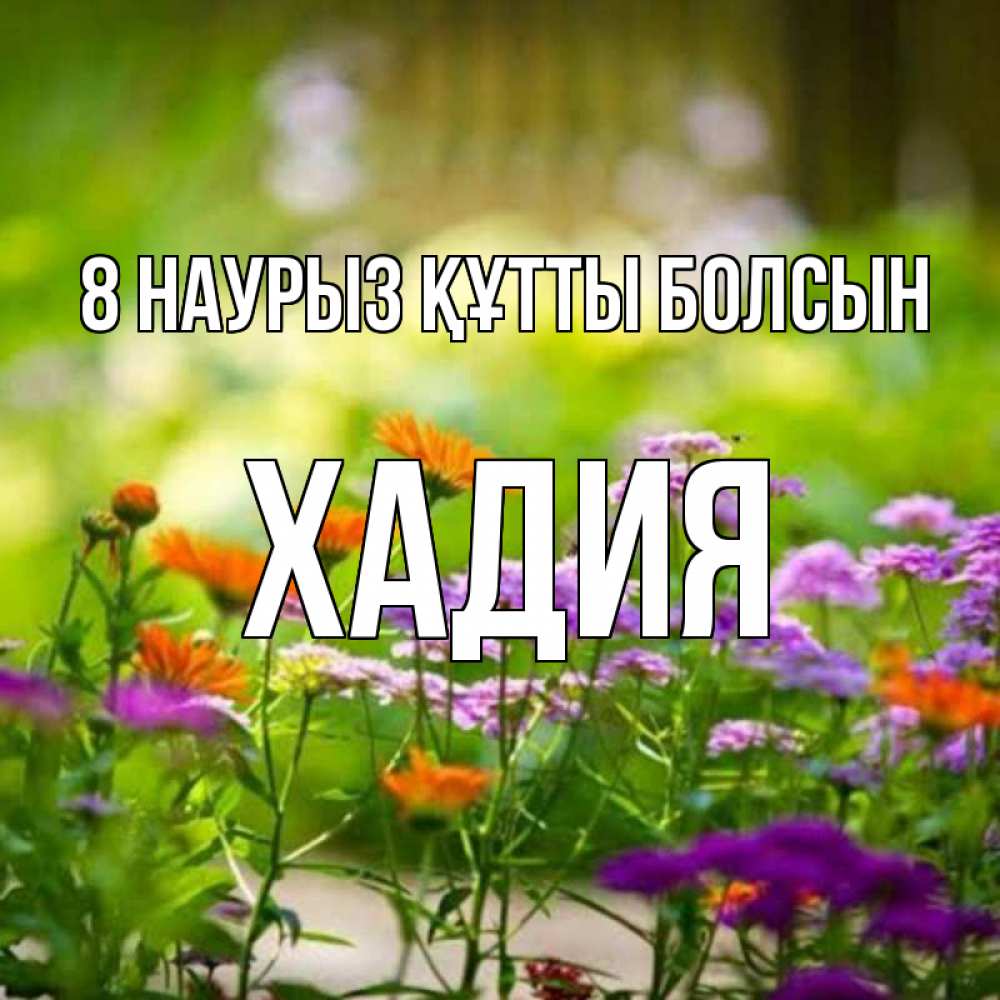 Күн сайын ашық хат с именем, ХАДИЯ 8 наурыз құтты болсын цветы Онлайн тегін жүктеп алу тілектері бар керемет карта 