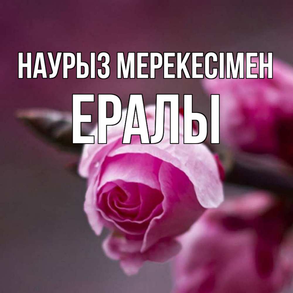 Күн сайын ашық хат с именем, Ералы Наурыз мерекесімен весна Онлайн тегін жүктеп алу тілектері бар керемет карта 