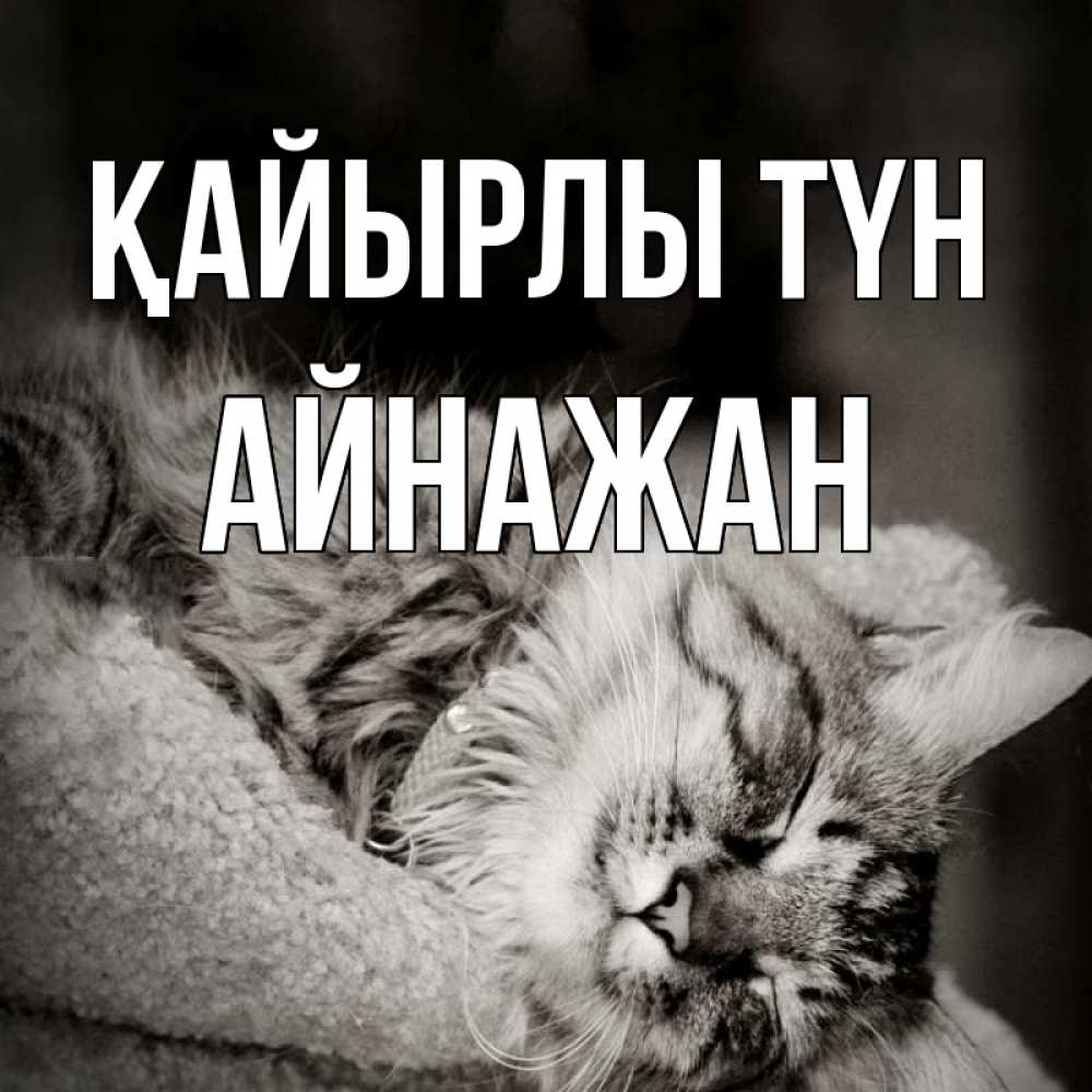 Күн сайын ашық хат с именем, Айнажан Қайырлы түн котярик пушистый Онлайн тегін жүктеп алу тілектері бар керемет карта 